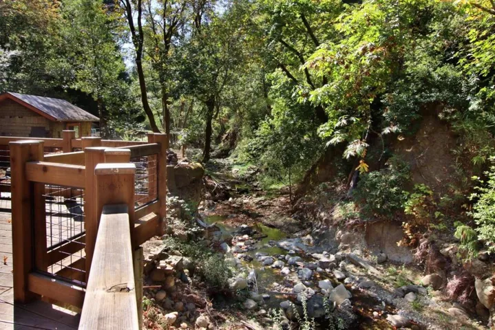 16770 Redwood Lodge Road, Los Gatos, California 95033