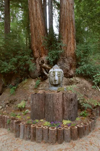 16770 Redwood Lodge Road, Los Gatos, California 95033