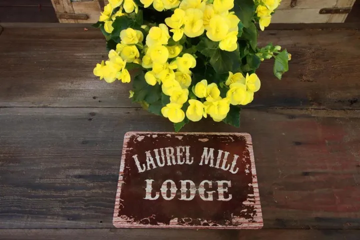 16770 Redwood Lodge Road, Los Gatos, California 95033