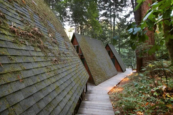 16770 Redwood Lodge Road, Los Gatos, California 95033