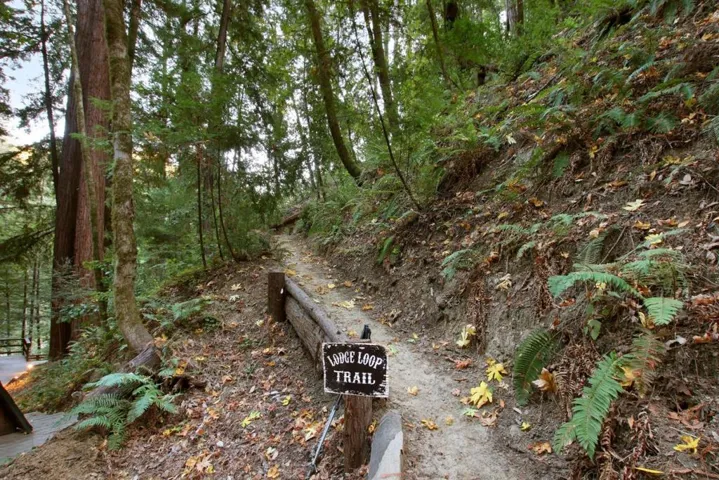 16770 Redwood Lodge Road, Los Gatos, California 95033