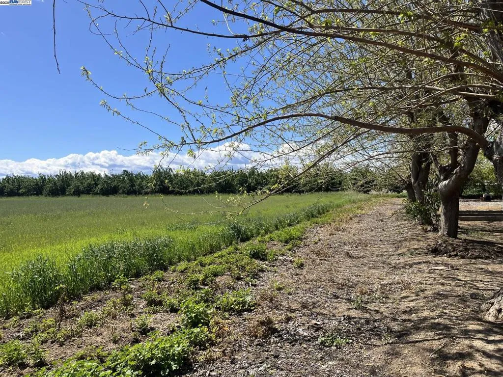 Behind the 3 bedroom2 bathroom House THIS VIEW of 14.14 Acres of Open Farmland