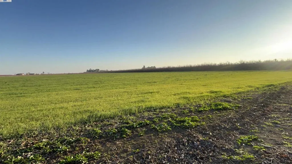 14 Acres-View