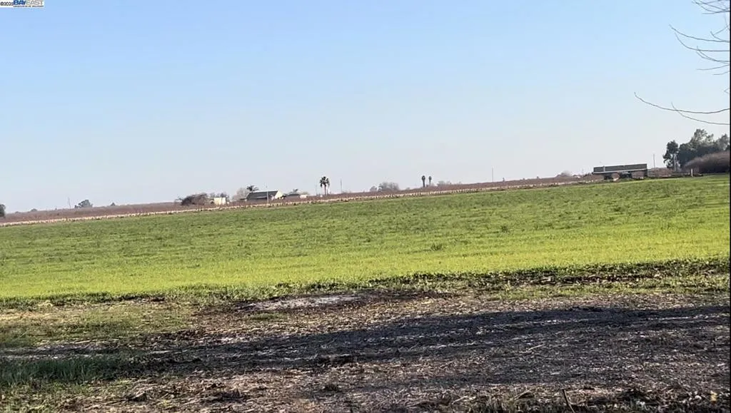 14 Acre View from Backyard