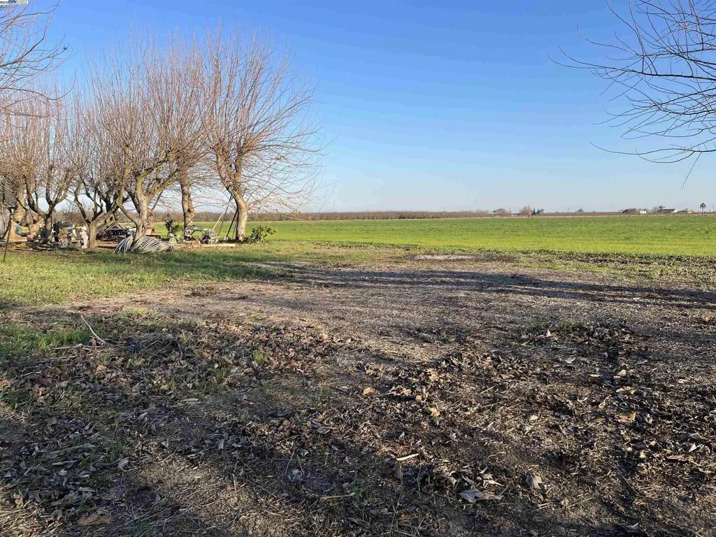 Side Yard View of 14.14 Acres of Open Land