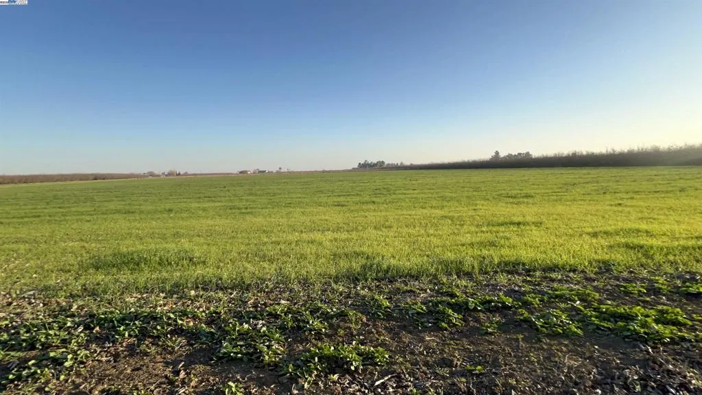 As Far as You Can See 14 Acres Deep