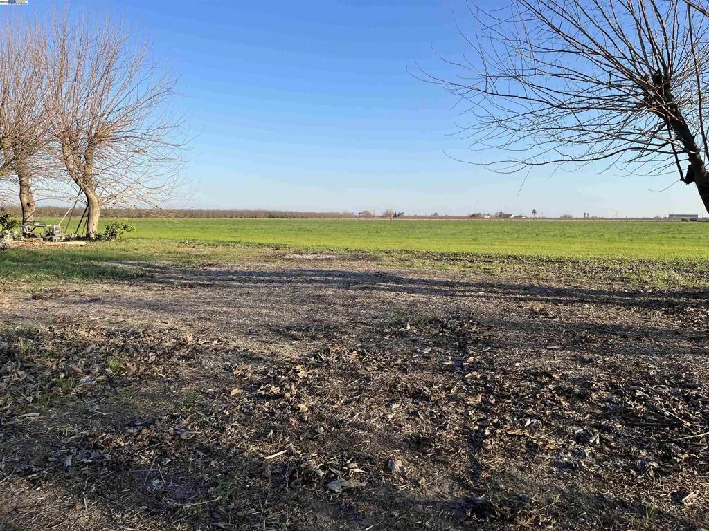 Imagine what you could do with this view of 14.14 acres of open land plus a Farm House