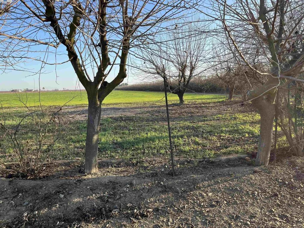 Westside Property Road