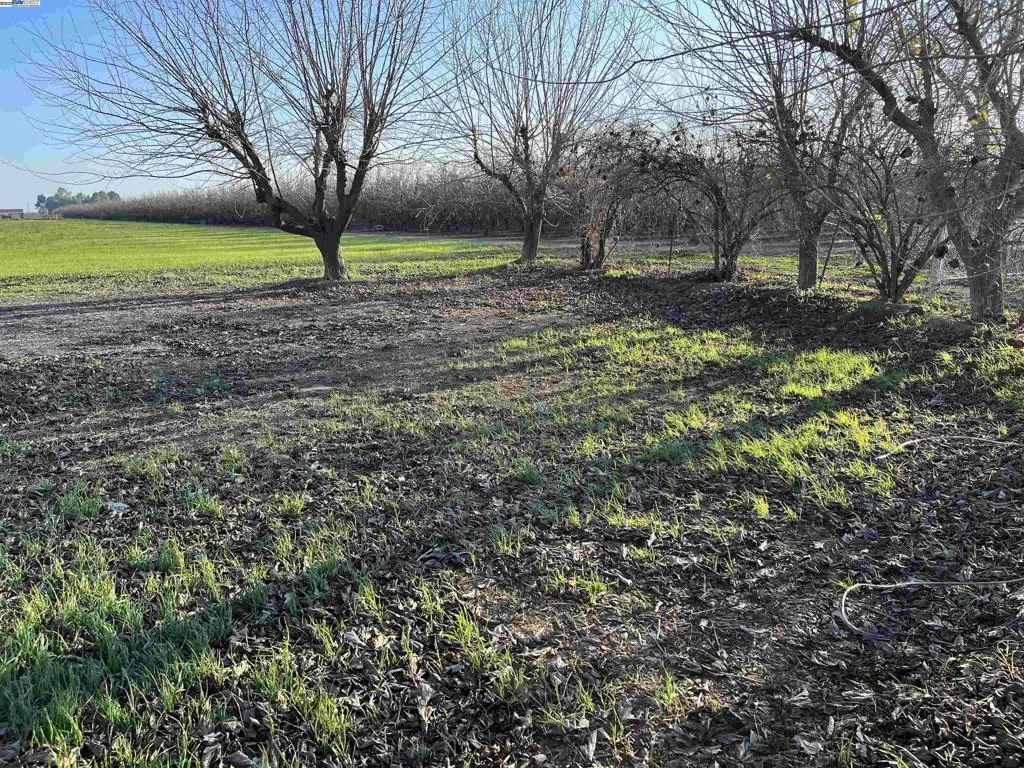 Side Backyard 14 Acres View