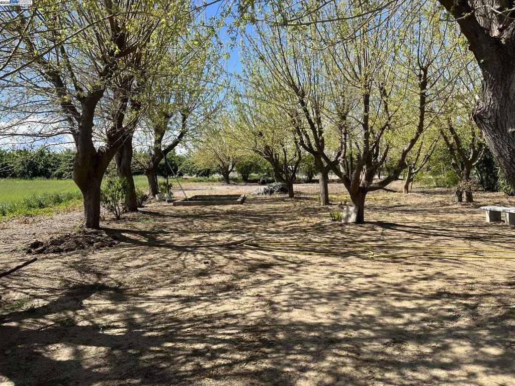 An Entertainers Dream with a Canopy of Shade and to Cool Down and Celebrate the Lazy Days of Summer