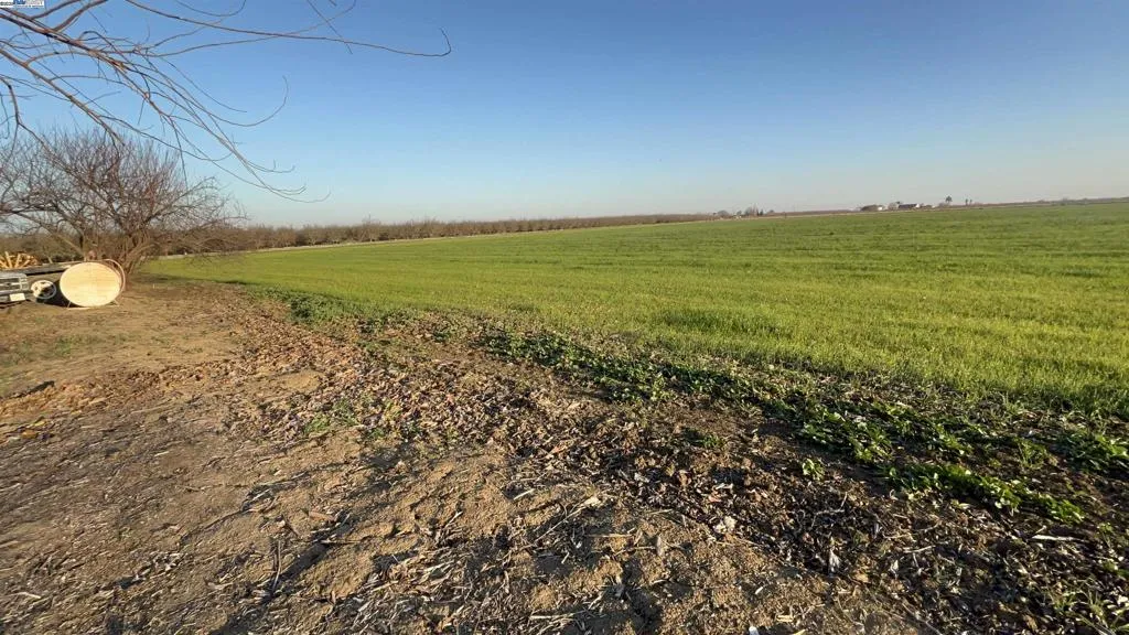 14.14 Acres