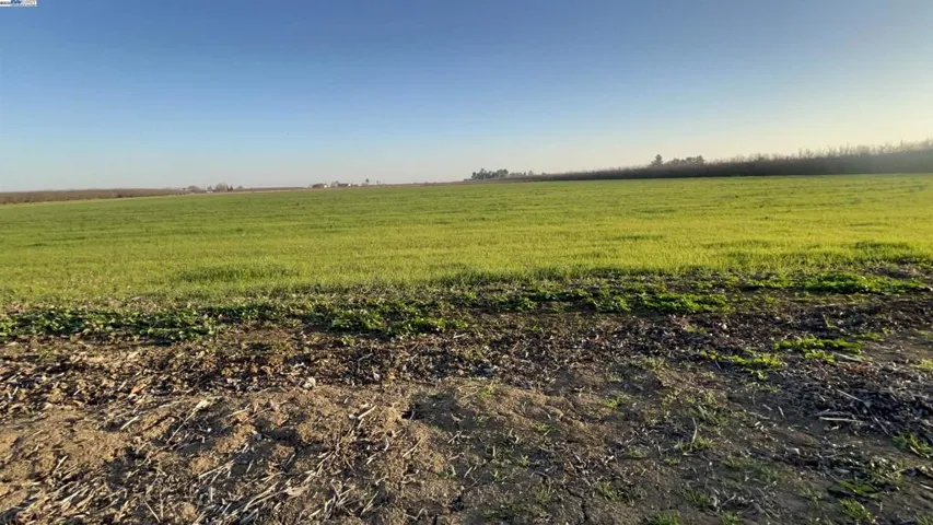 Open Farmland-Open Livestock Land-Open Horse Ranch Land-Oh the Possibilities