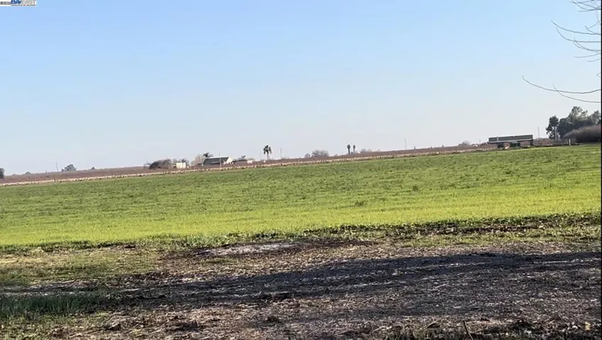 14 Acre View from Backyard