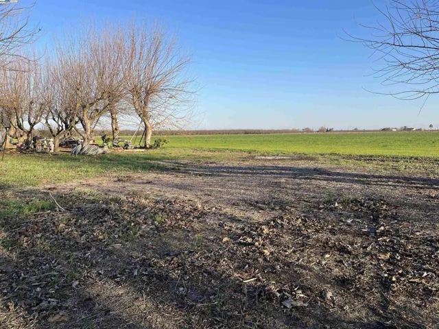 Side Yard View of 14.14 Acres of Open Land