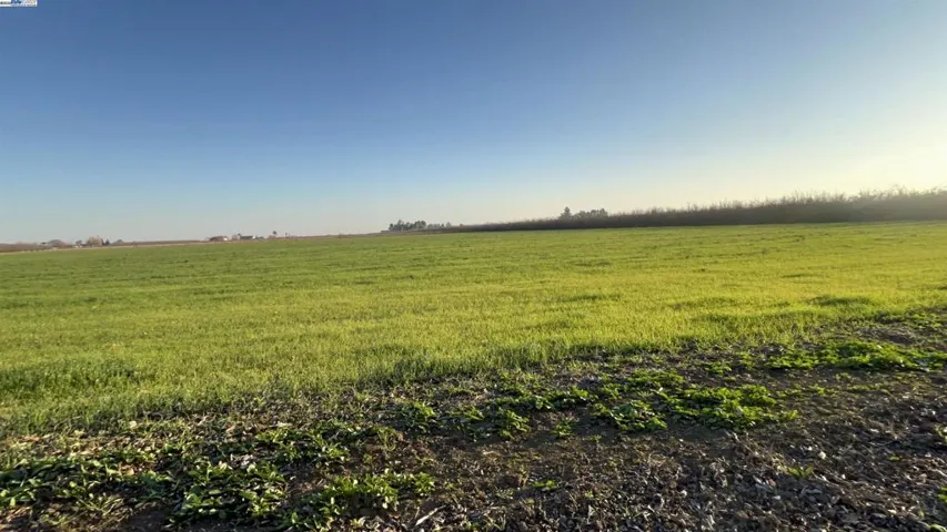14.14 Acres Farmland