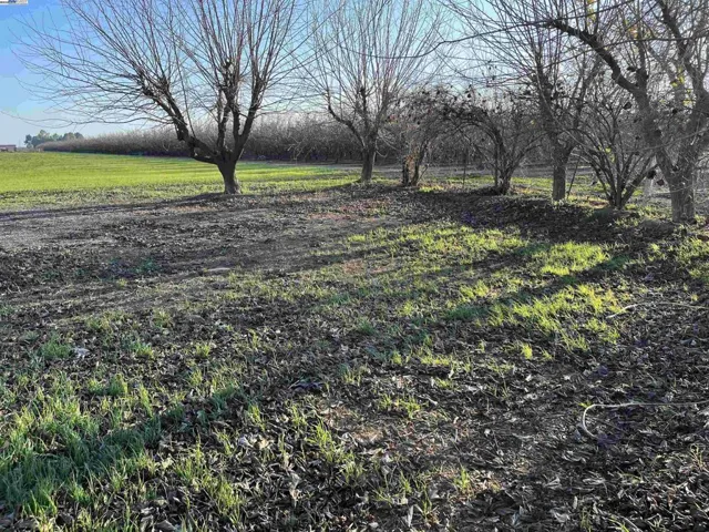 Side Backyard 14 Acres View