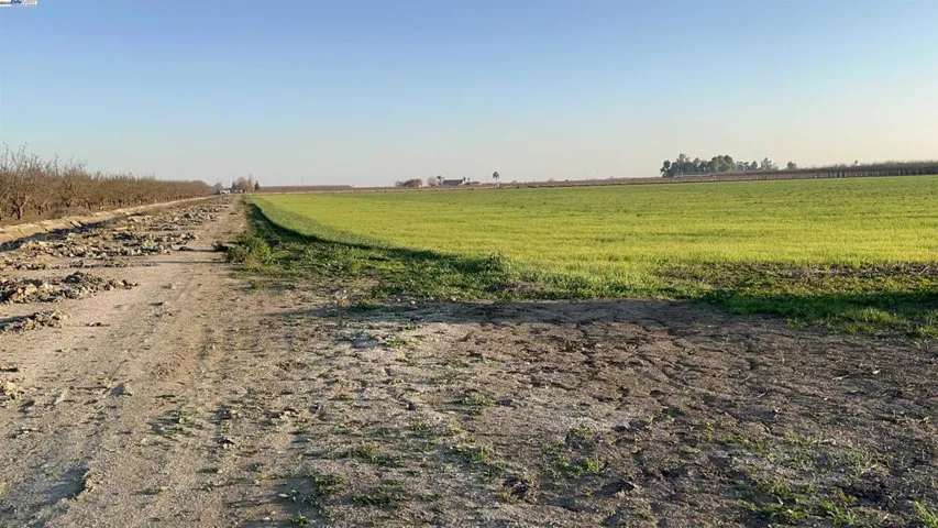 Irrigation Canal View