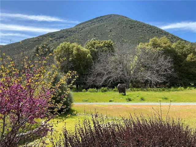 view from the porch