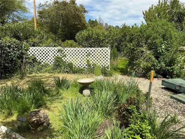 back yard
