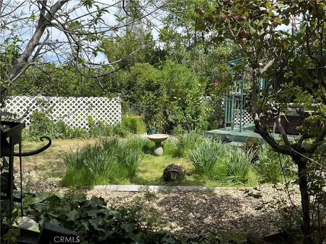 back yard oasis