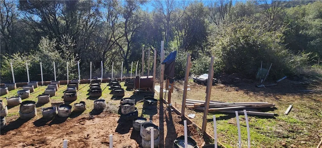 You can raise your own organic vegetables.