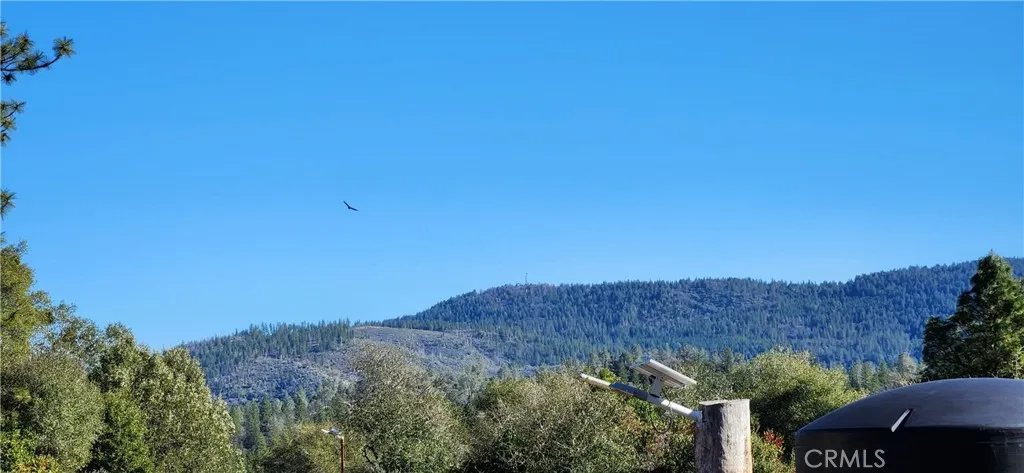 Where Eagles Soar and View of Sunset Hill.