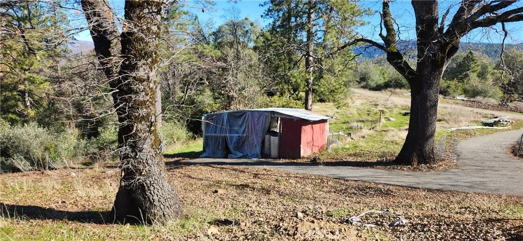 Chicken coup/barn.