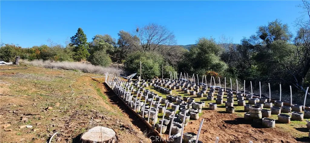 Plant as many vegetables as you like.