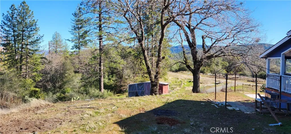 View of the chicken coup/storage barn and driveway.