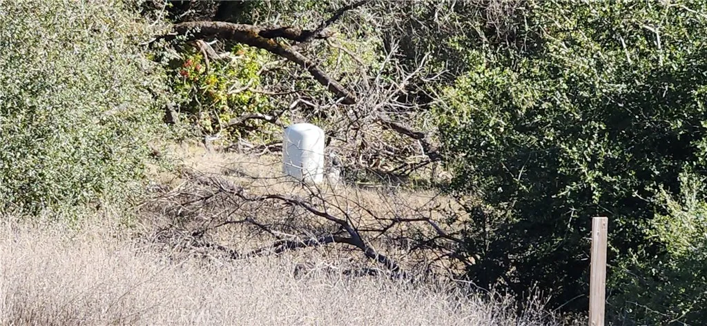 Lower Water well.