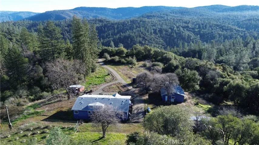 Multiple solar lights along the driveway