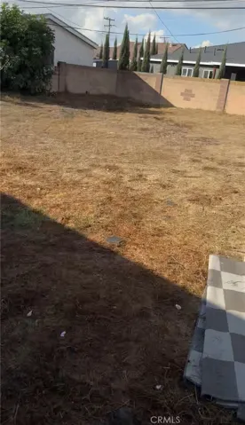 Left half of backyard