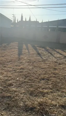 Left half of backyard