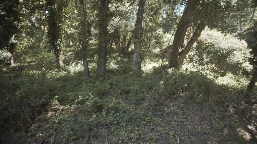 0 Burns, Aptos, California 95003 — photo 5