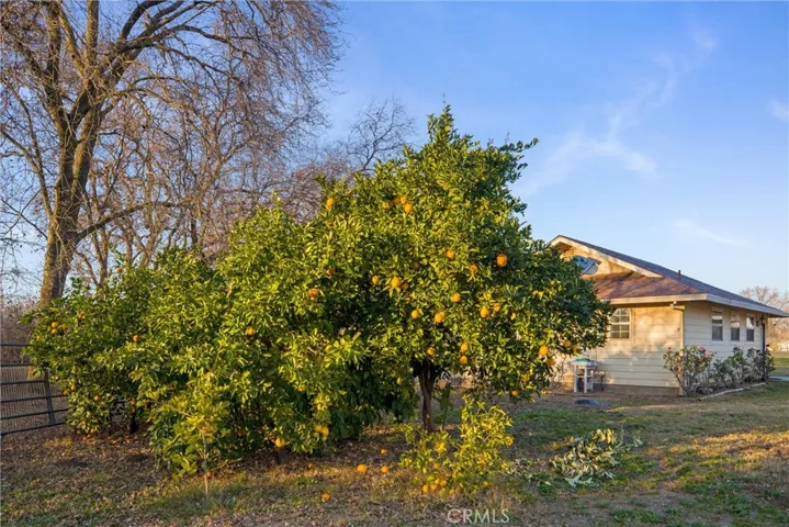 1425 Hearnow Lane, Durham, California 95938