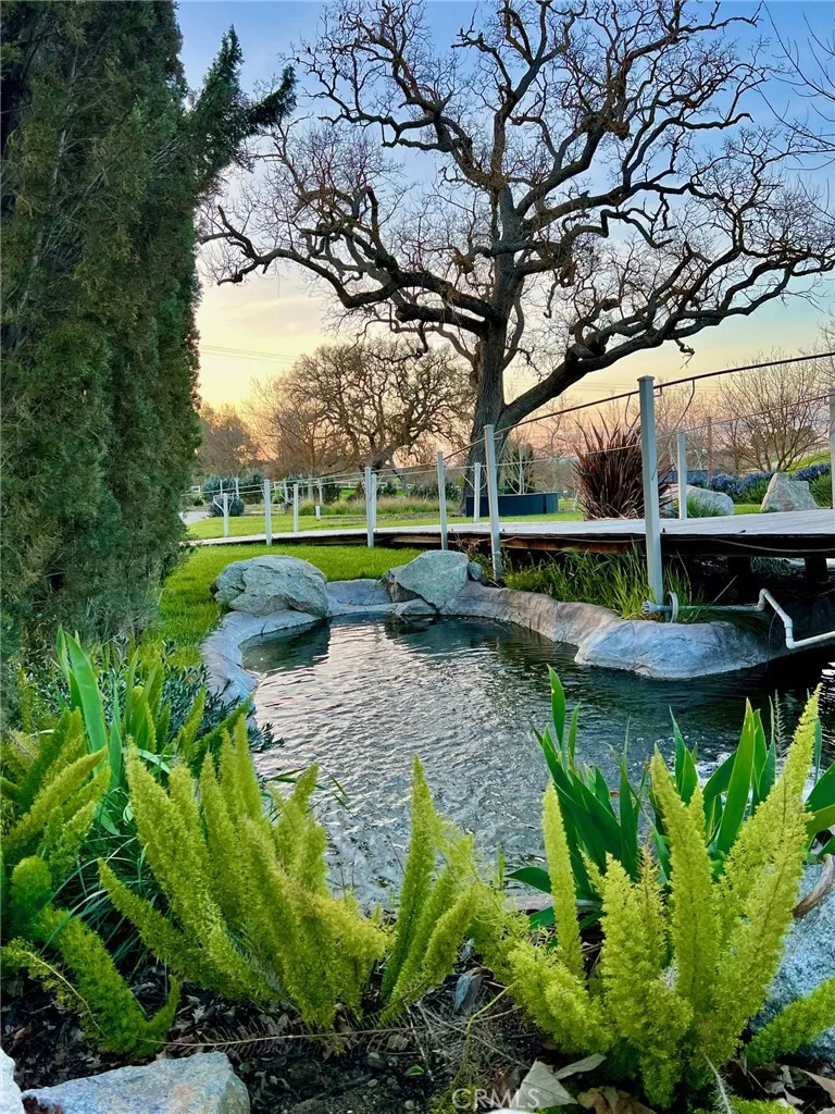 Koy Pond Koy Pond
