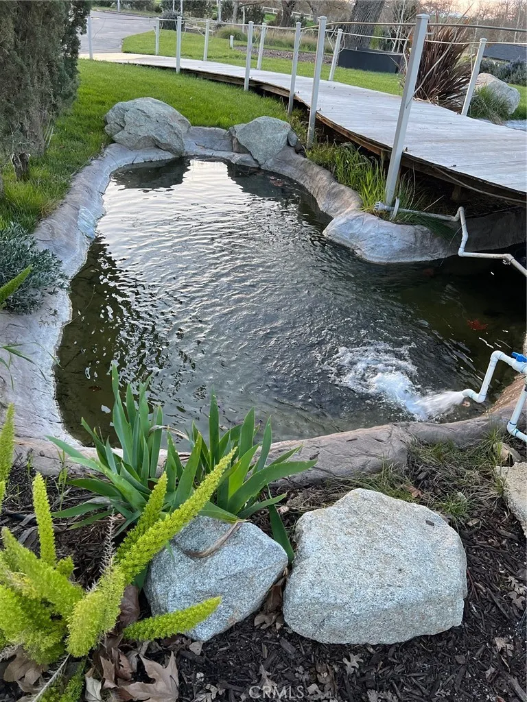 Koy Pond Koy Pond