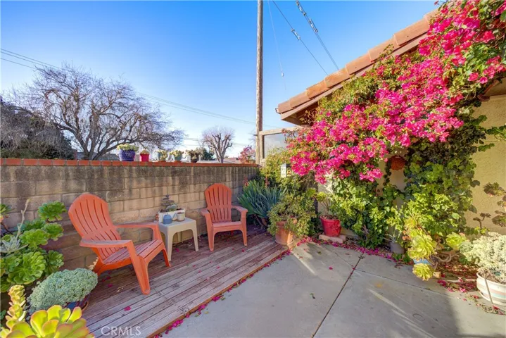 Back patio