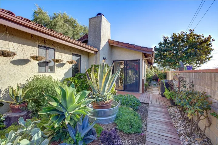 continuation of back yard