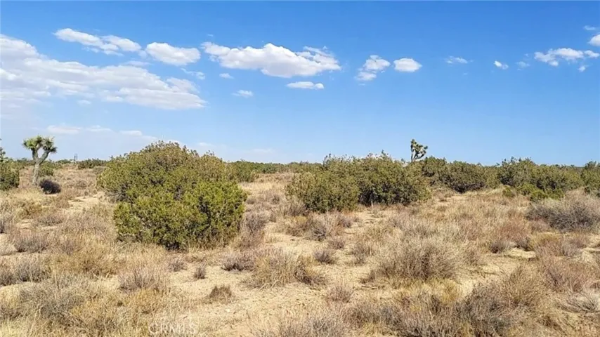 0 Avenue Y, Llano, California 93544