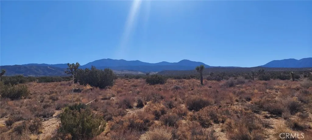 0 Avenue Y, Llano, California 93544