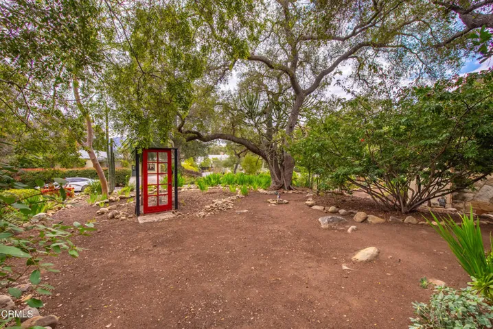 Whimsical red door