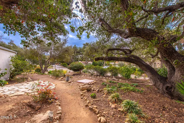 Meandering pathways throughout