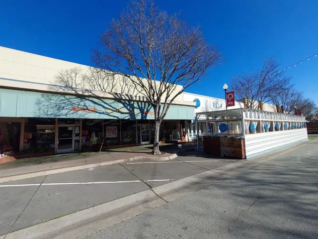 717 Laurel Street, San Carlos, California 94070