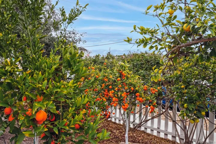 4602 33rd St, San Diego, California 92116