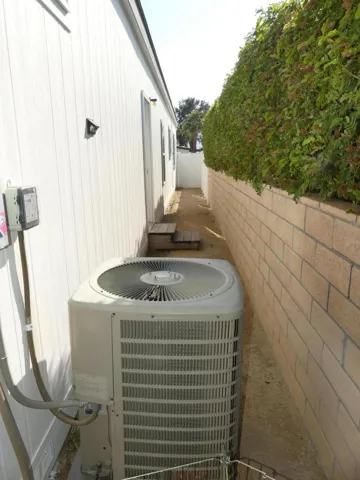 Side Yard