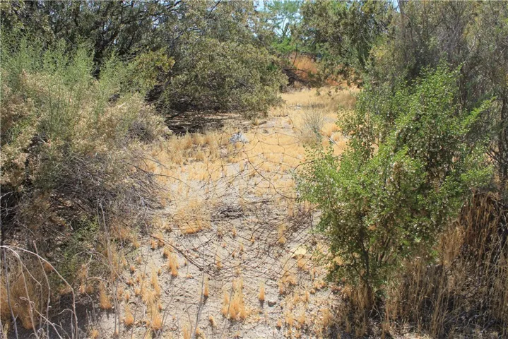 700 Twentynine Palms, Morongo Valley, California 92256
