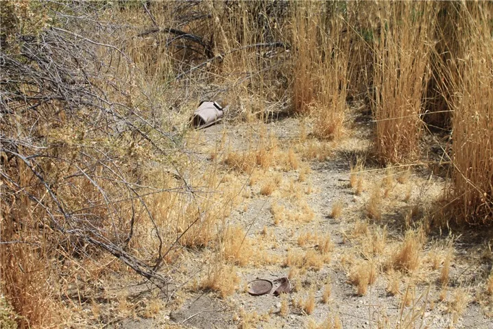 700 Twentynine Palms, Morongo Valley, California 92256