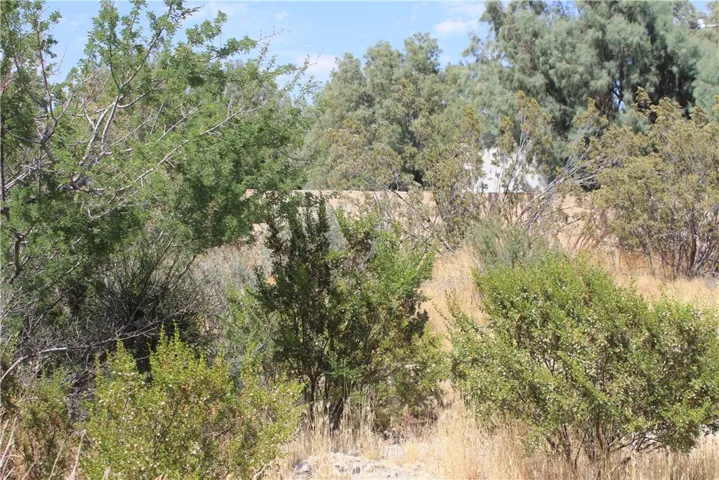 700 Twentynine Palms, Morongo Valley, California 92256