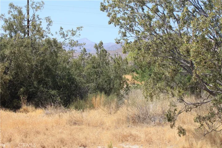 700 Twentynine Palms, Morongo Valley, California 92256